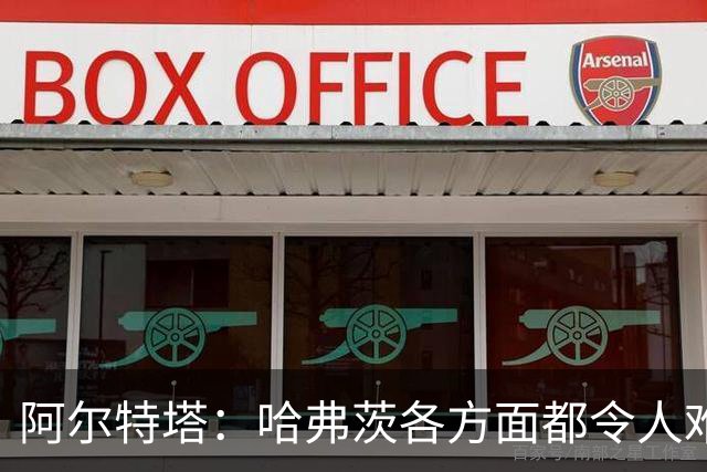 阿尔特塔：哈弗茨各方面都令人难以置信
